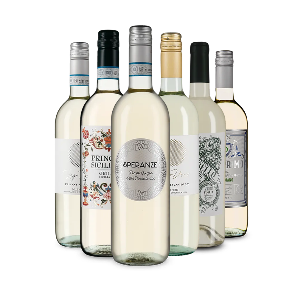 Italienischer Weißwein: unsere Verkostungsstars im Paket