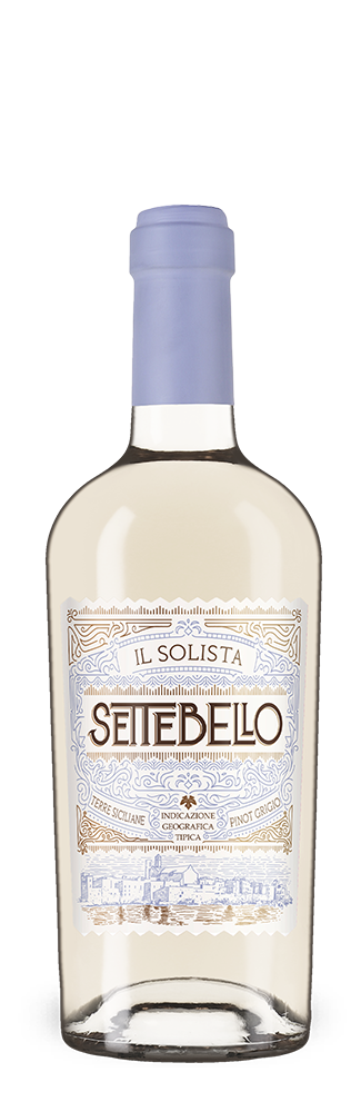 Settebello Pinot Grigio Terre Siciliane 2024 – Gold