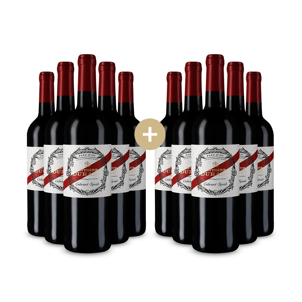 5+5 Flaschen Cabernet Syrah 2023 – Gold