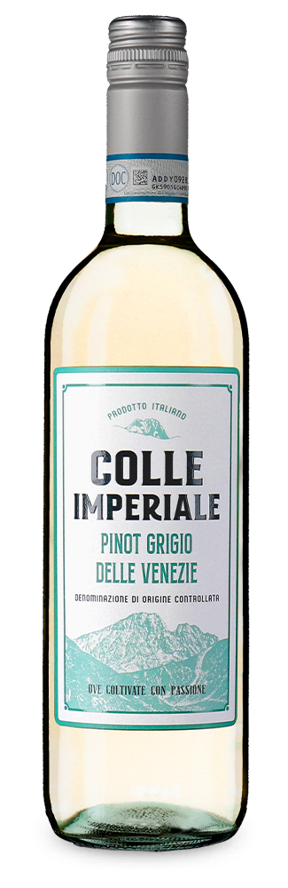Pinot Grigio delle Venezie 2024