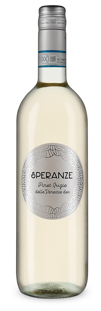 Pinot Grigio delle Venezie 2024 – Gold