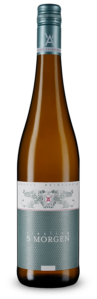 Riesling 5 Morgen trocken 2024 – Gold