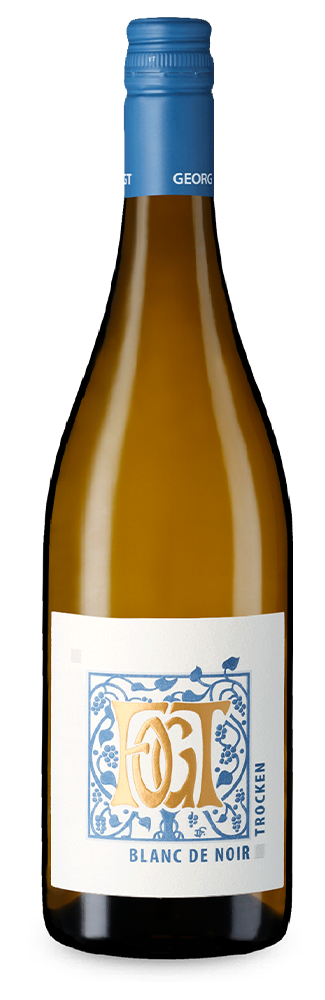 Edition Blanc de Noir trocken 2024 – Gold
