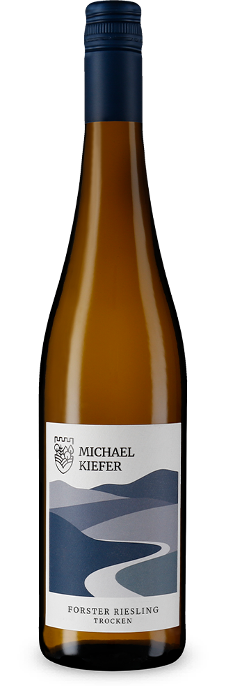Forster Riesling trocken 2024 – Gold