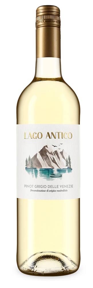 Pinot Grigio delle Venezie 2024 – Gold