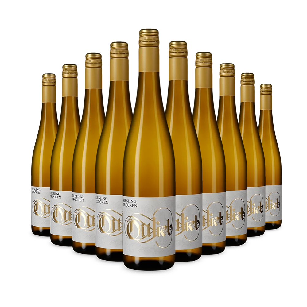 10 Flaschen Riesling trocken 2024 – Gold