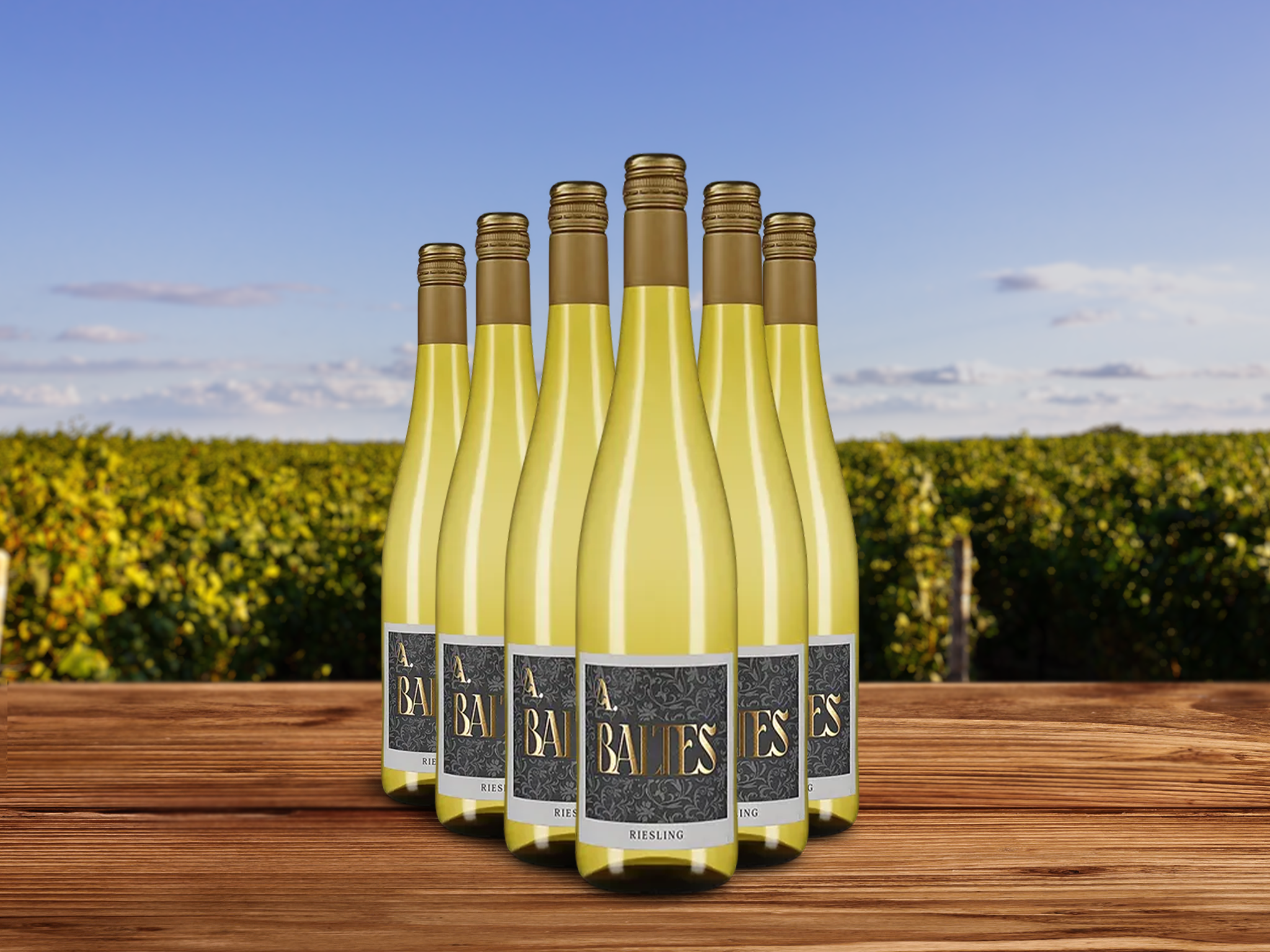 6 Flaschen Riesling 2024