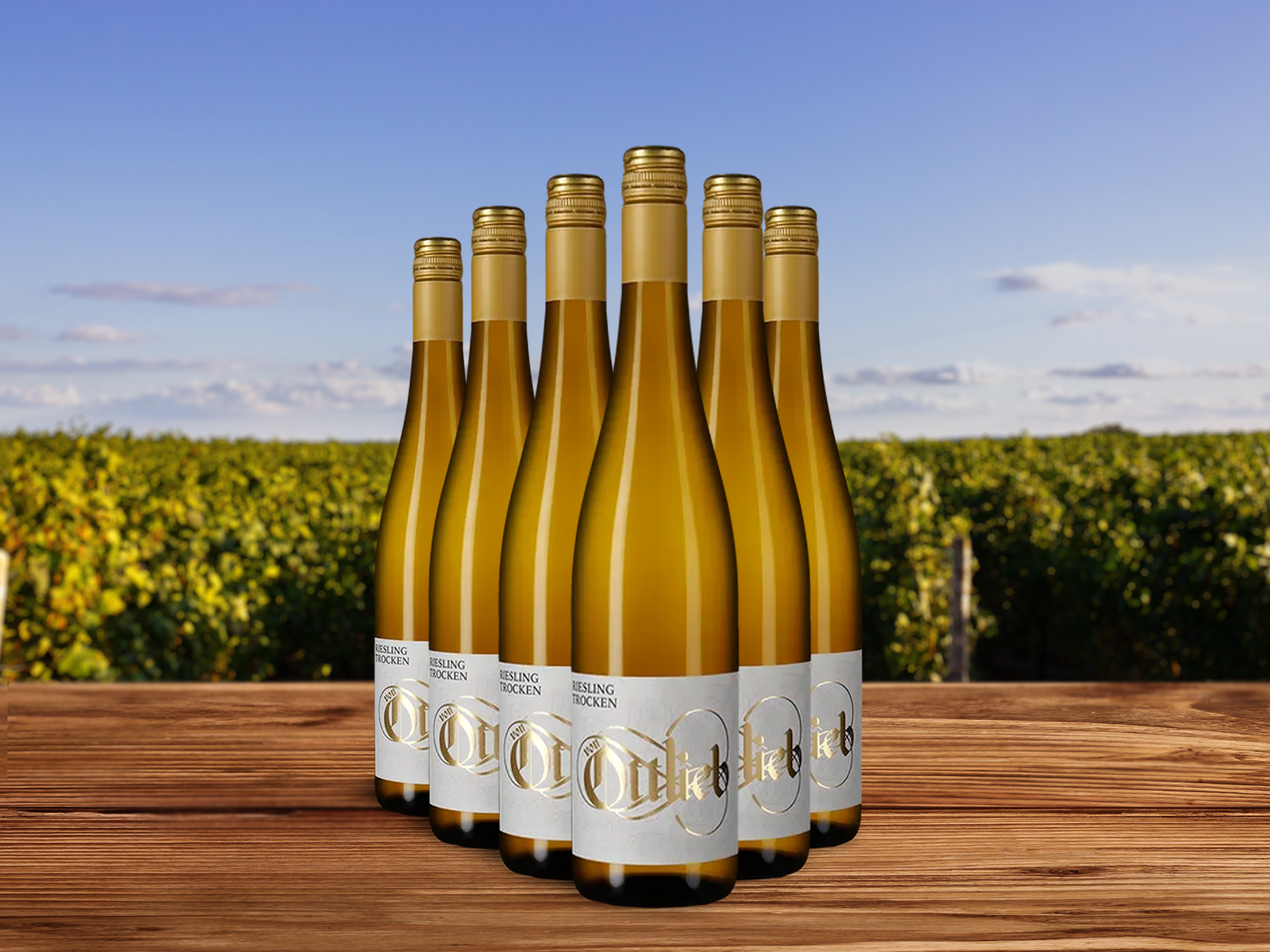 6 Flaschen Riesling 2024
