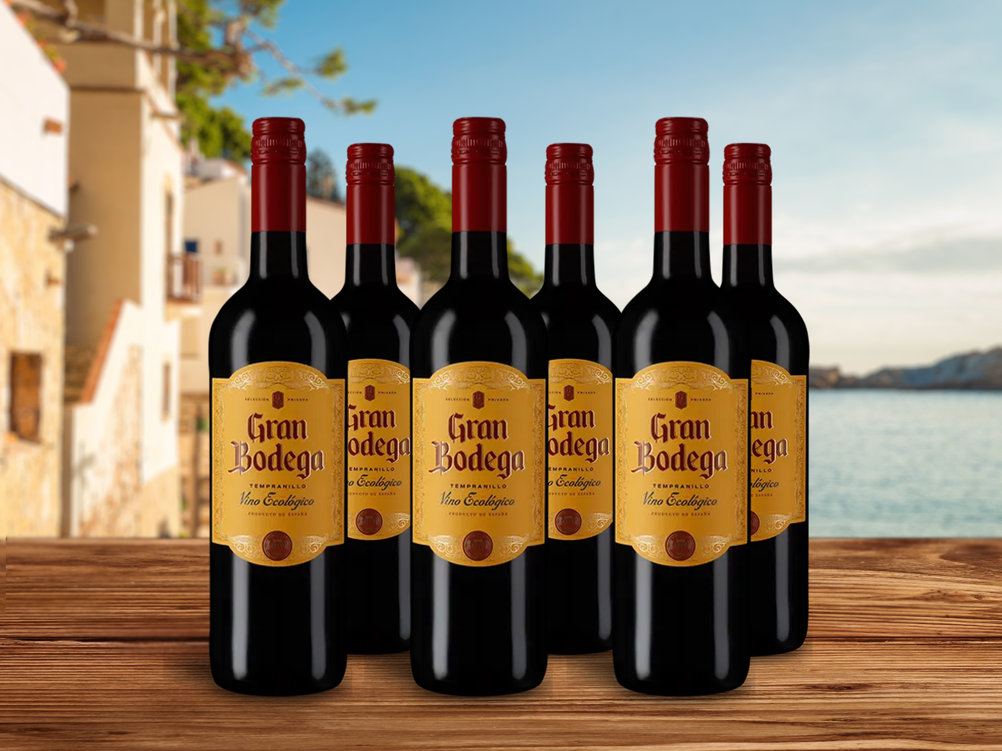 6 Flaschen Tempranillo 2024
