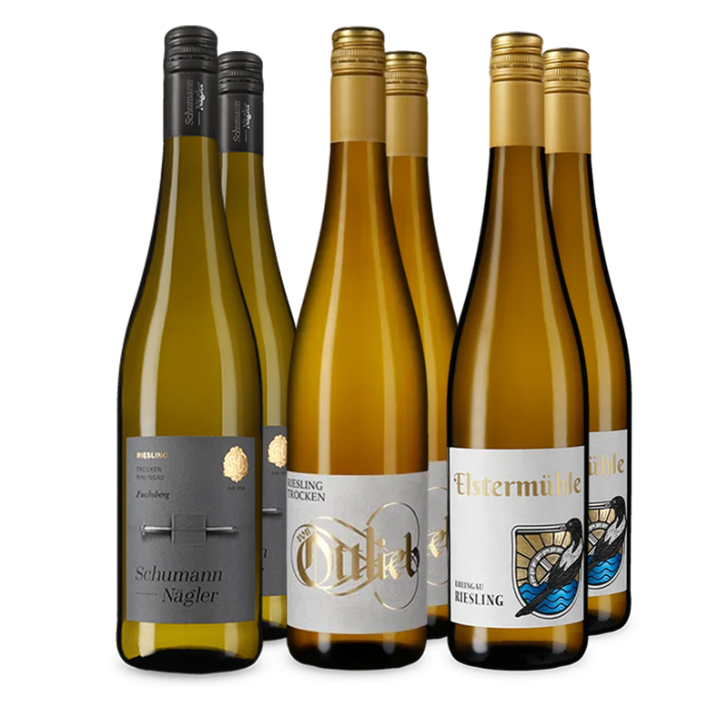 Riesling im Entdeckerpaket