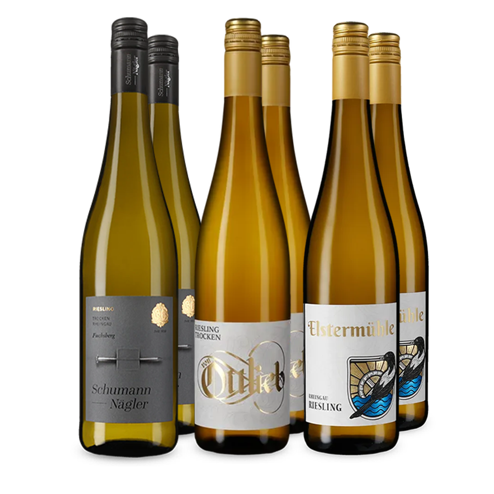 Riesling im Entdeckerpaket