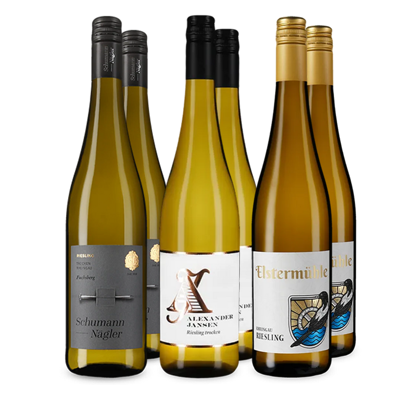 Riesling im Entdeckerpaket – Gold