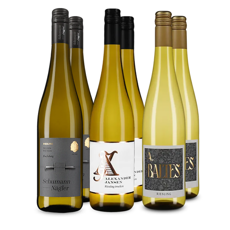 Riesling im Entdeckerpaket
