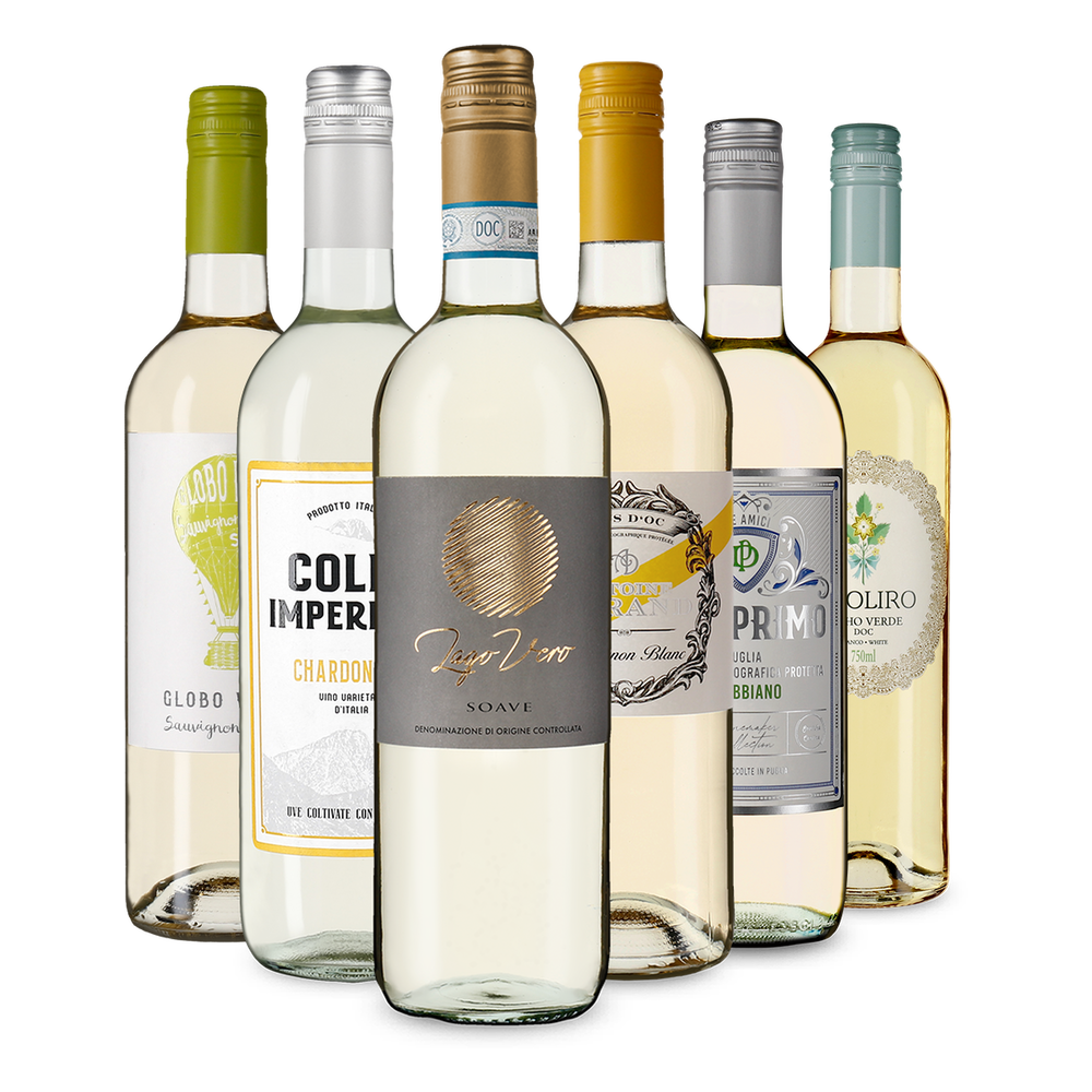 6x1 Weißwein Entdeckerpaket Europa