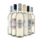 Italienischer Weißwein: unsere Verkostungsstars im Paket