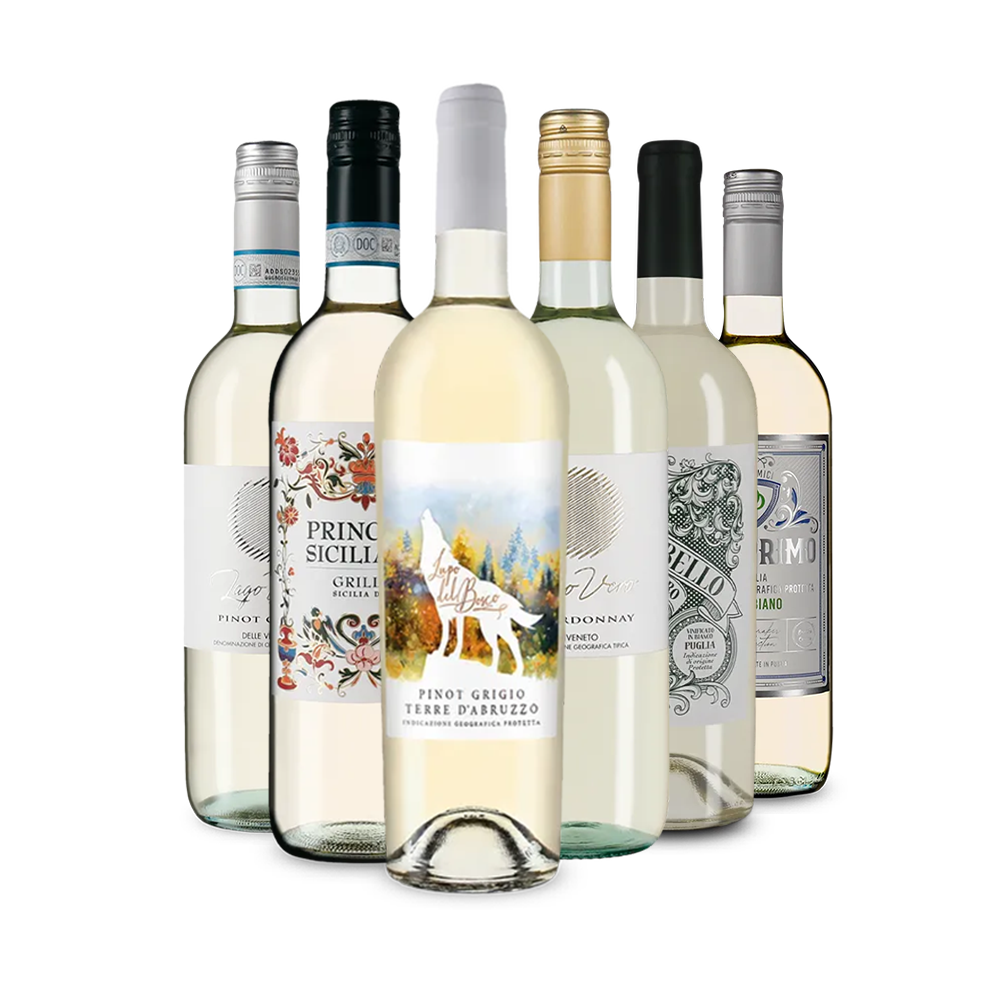 Italienischer Weißwein: unsere Verkostungsstars im Paket