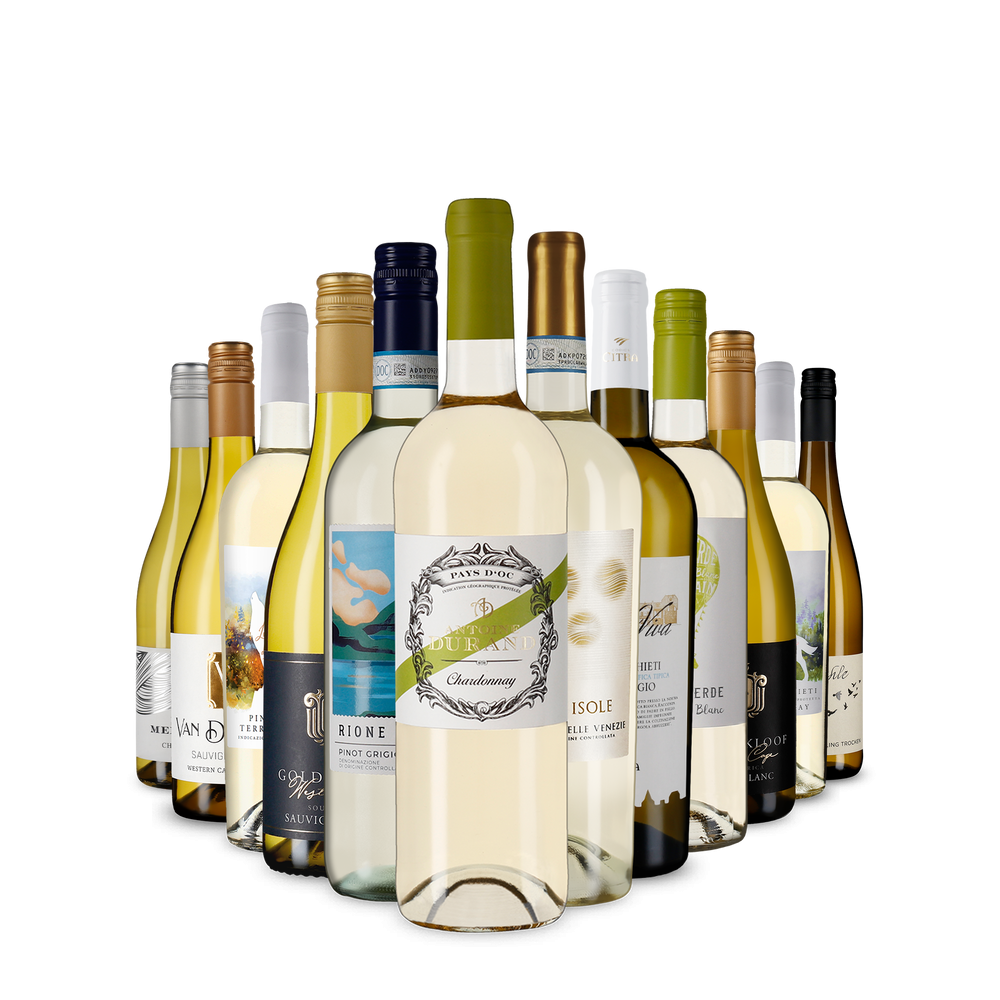 12x1 Weißwein-Vielfalt im Kennenlernpaket
