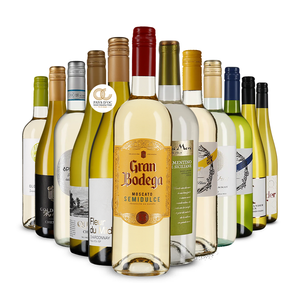 Die Weißwein-Vielfalt im Kennenlernpaket