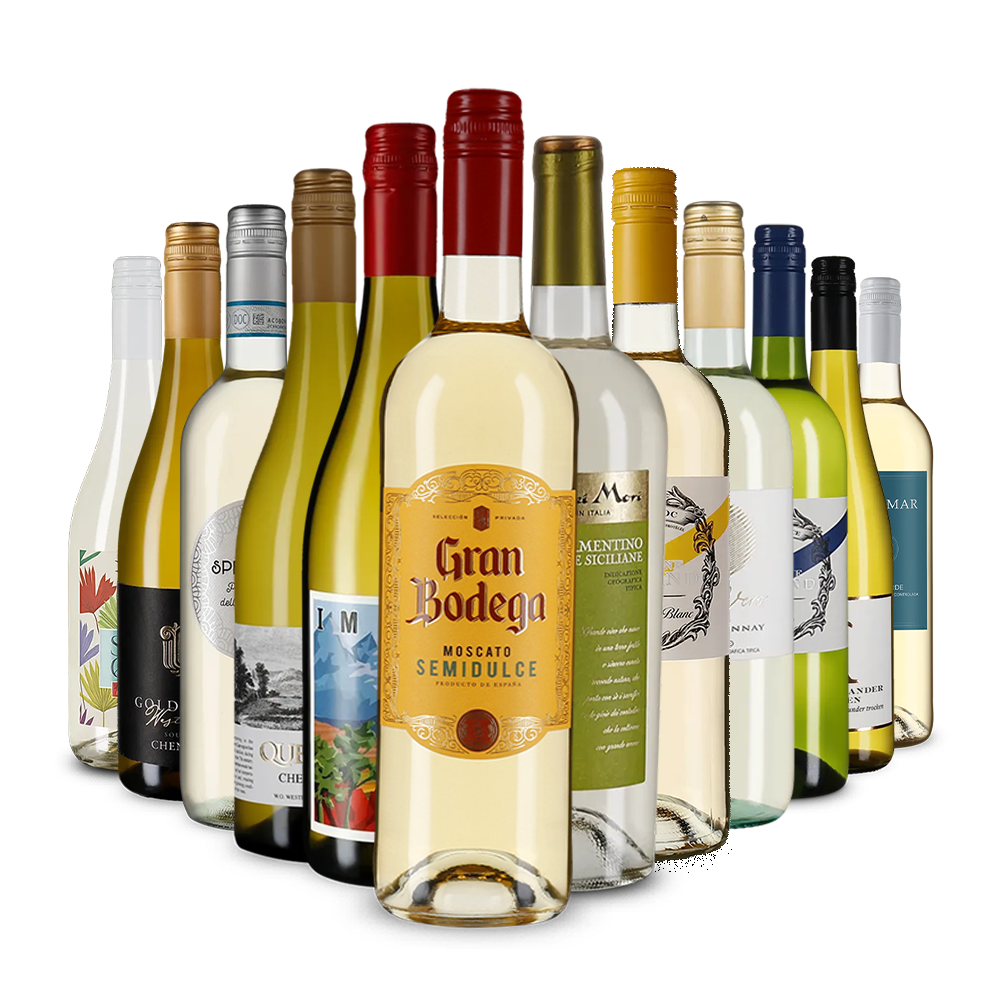 Die Weißwein-Vielfalt im Kennenlernpaket