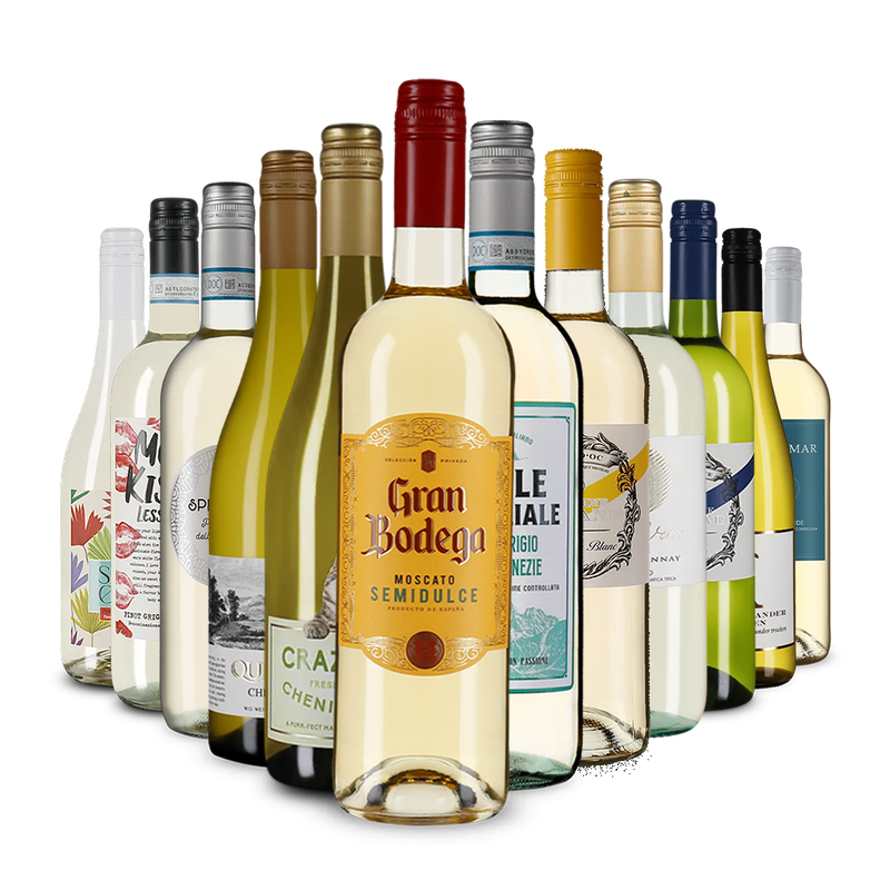 Die Weißwein-Vielfalt im Kennenlernpaket