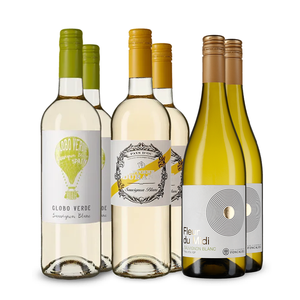Sauvignon Blanc im Entdeckerpaket – Gold