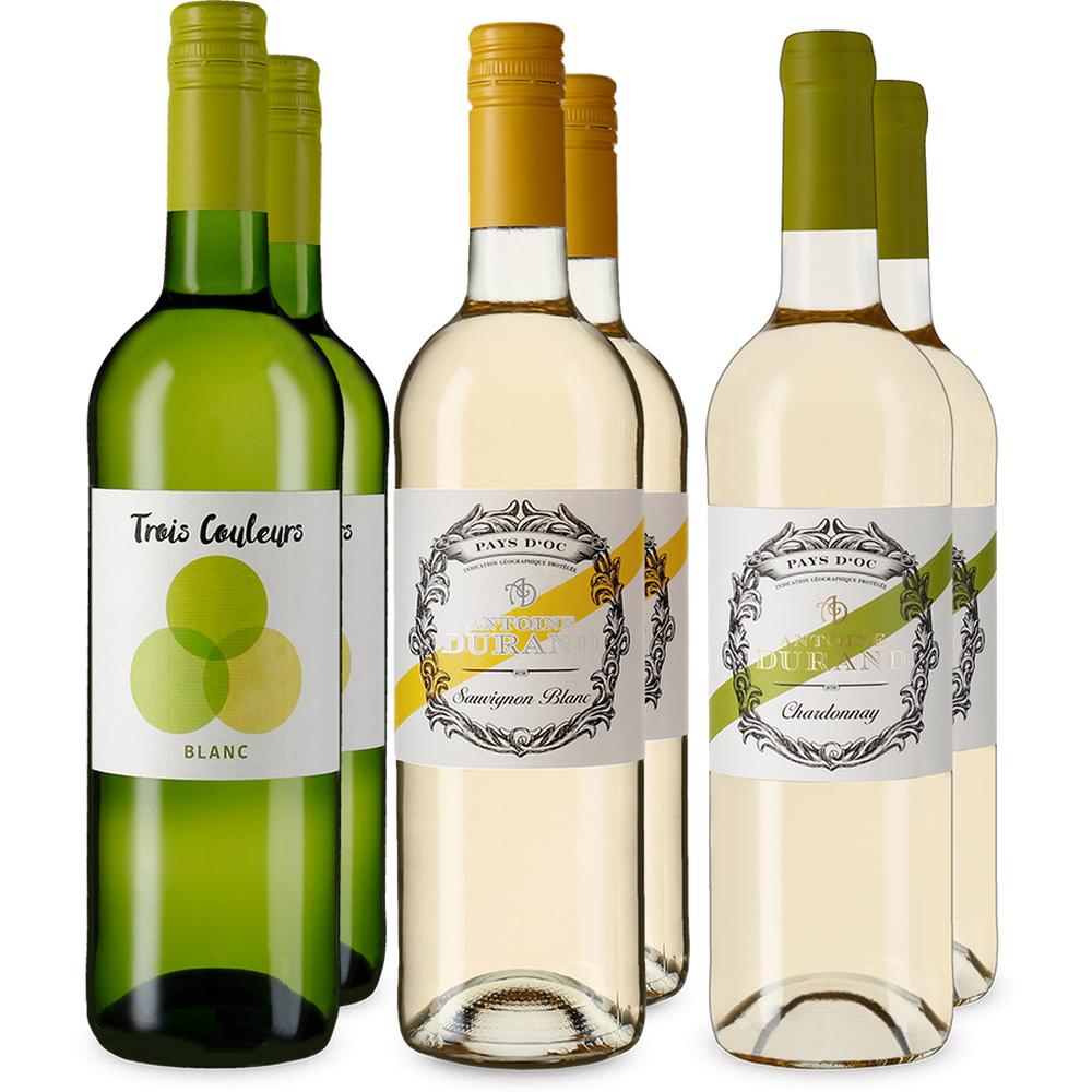 Frankreich: Weißwein-Entdeckerpaket