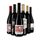 Rotwein international: das Goldsieger-Paket – Gold
