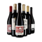 Rotwein international: das Goldsieger-Paket – Gold