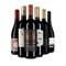 Rotwein international: das Goldsieger-Paket