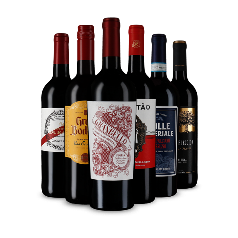Unsere Rotweine des Jahres im 6er-Probierpaket