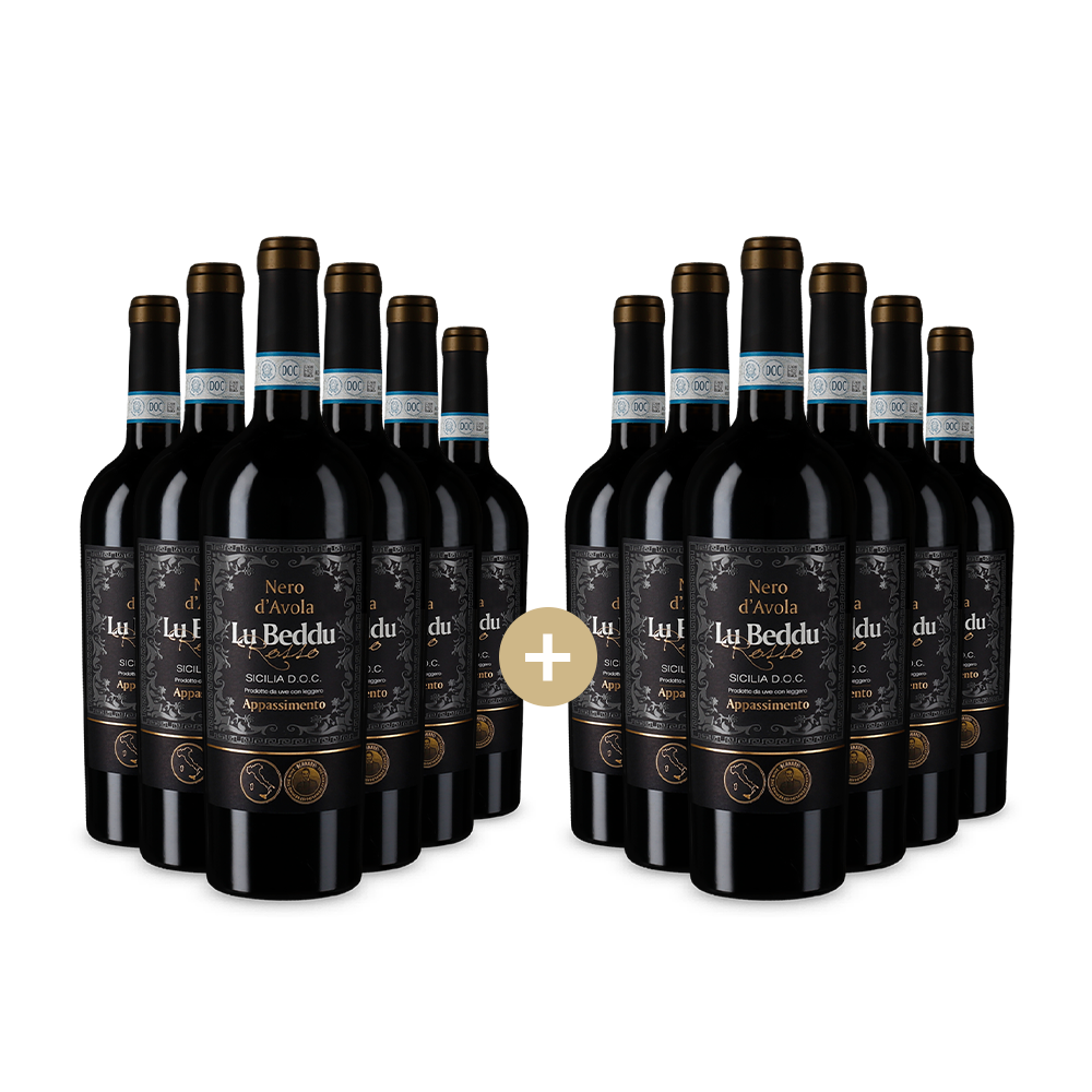 6+6 Flaschen Nero d’Avola Sicilia Appassimento 2022 – Gold