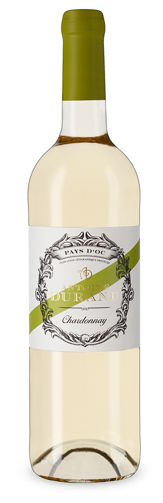 Chardonnay 2023 – Gold