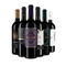 Primitivo-Highlights aus Apulien – Gold