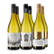 Sauvignon-Blanc-Highlights aus Neuseeland – Gold