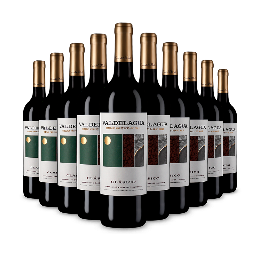 10 Flaschen Valdelagua Clásico Tinto 2023 – Gold