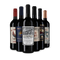 Unsere Rotweine des Jahres im 6er-Probierpaket