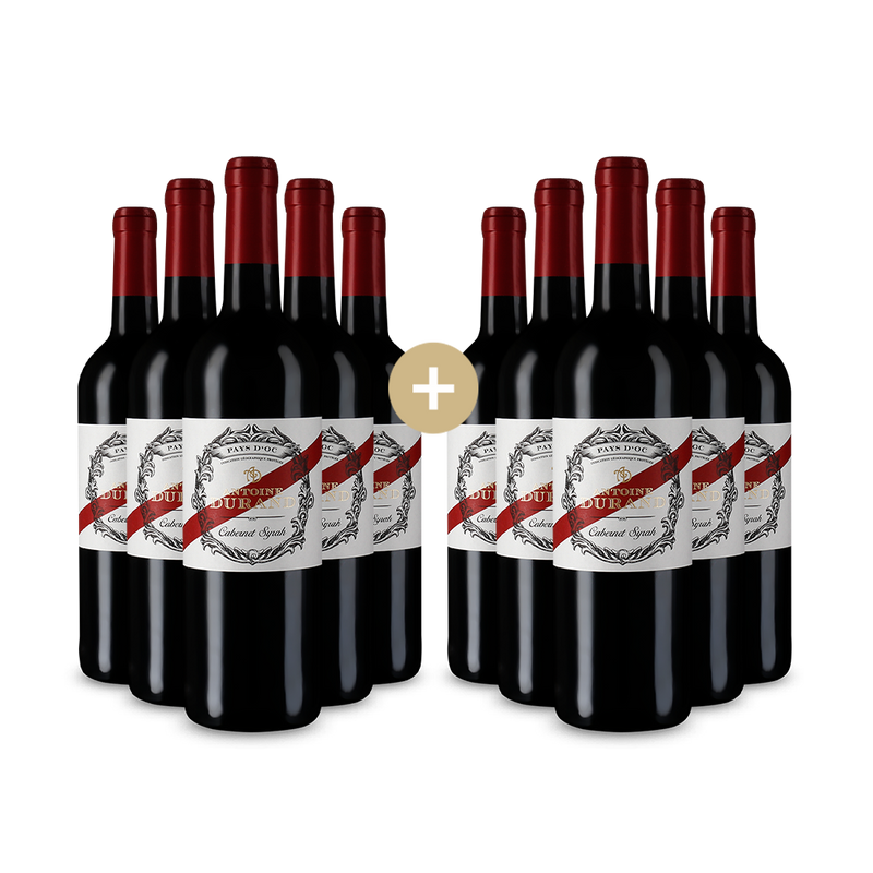 5+5 Flaschen Cabernet Syrah 2023 – Gold