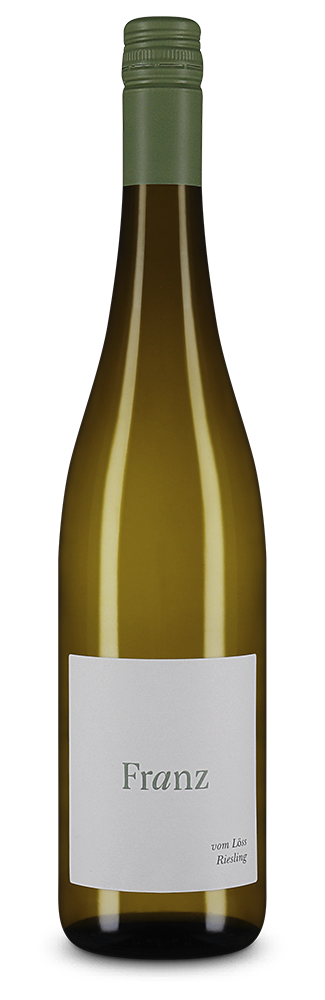 Riesling vom Löss trocken 2024 – Gold