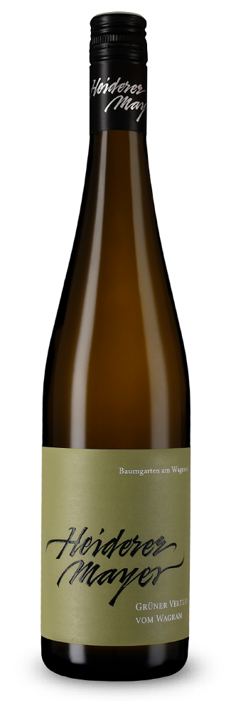 Grüner Veltliner vom Wagram trocken 2024 – Gold