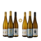 3+3 Pfälzer Riesling-Highlights – Gold