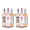 3+3 Südeuropäische Lieblings-Rosés – Gold
