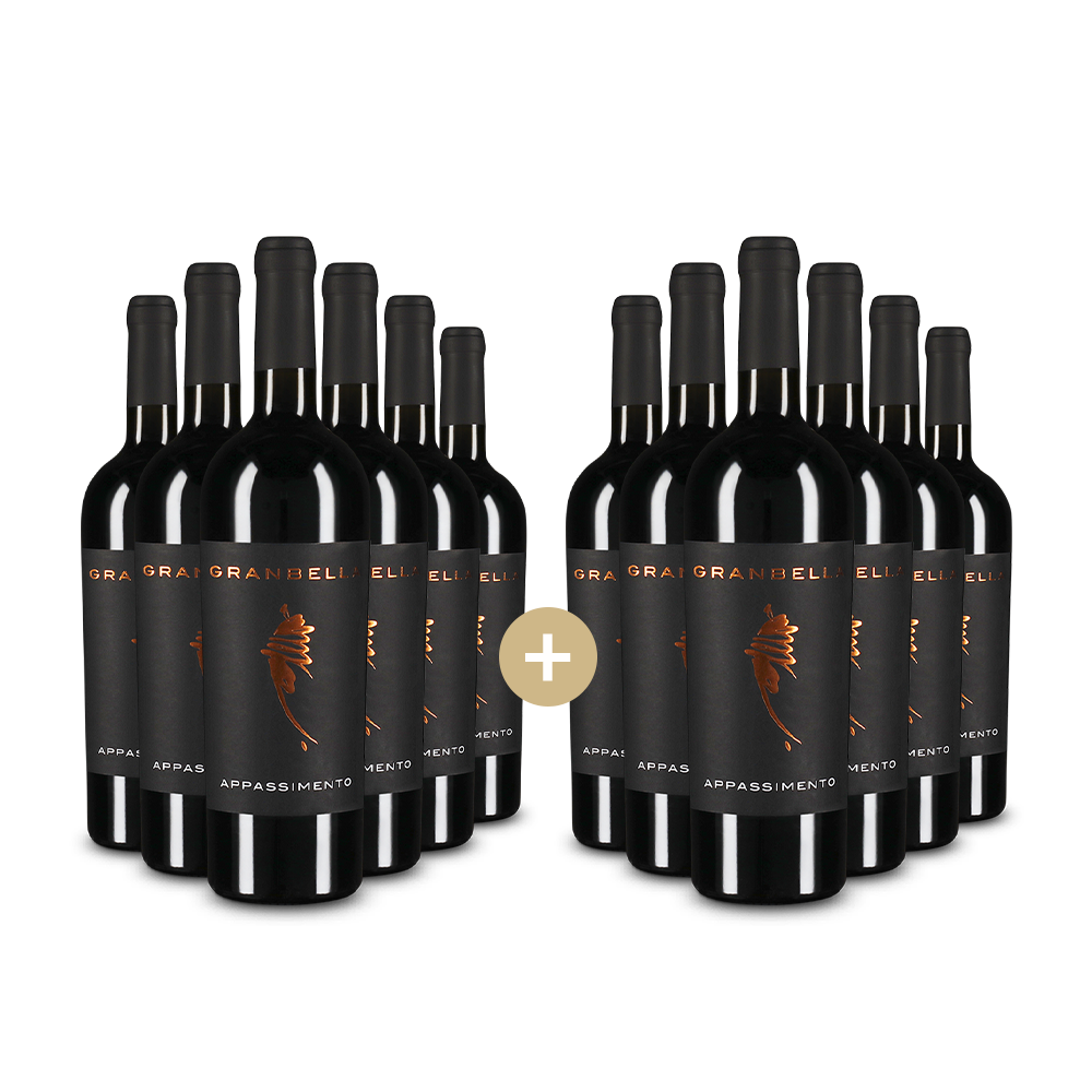 6+6 Flaschen Appassimento Puglia 2024 – Gold