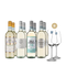 Gold-prämierte Pinot-Grigio-Stars im 4x2-Paket + 2 Weingläser – Gold