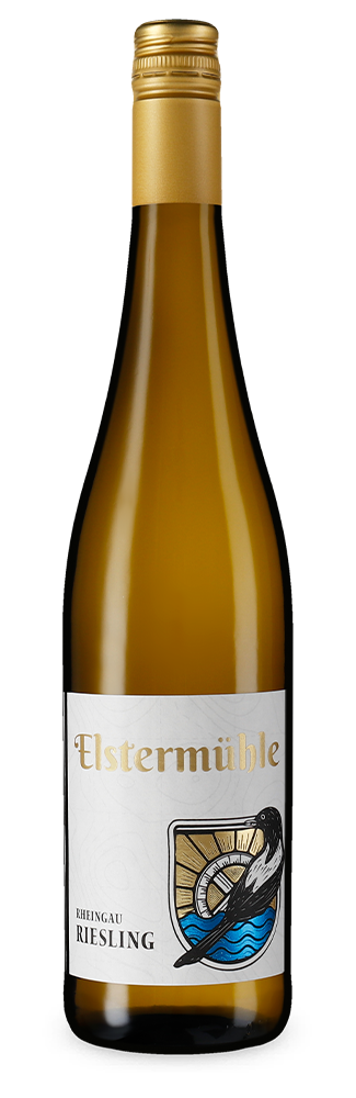 Riesling trocken 2024 – Gold