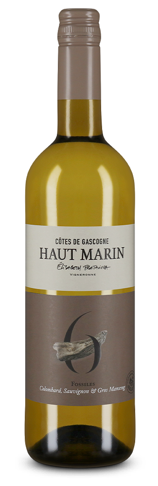 Côtes de Gascogne Blanc N°6 Fossiles 2024 – Gold
