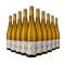 10 Flaschen Riesling trocken 2024 – Gold