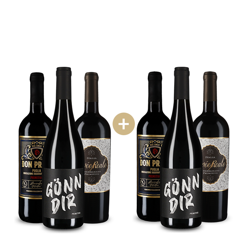 3+3 Flaschen: Unsere Primitivo-Stars – Gold