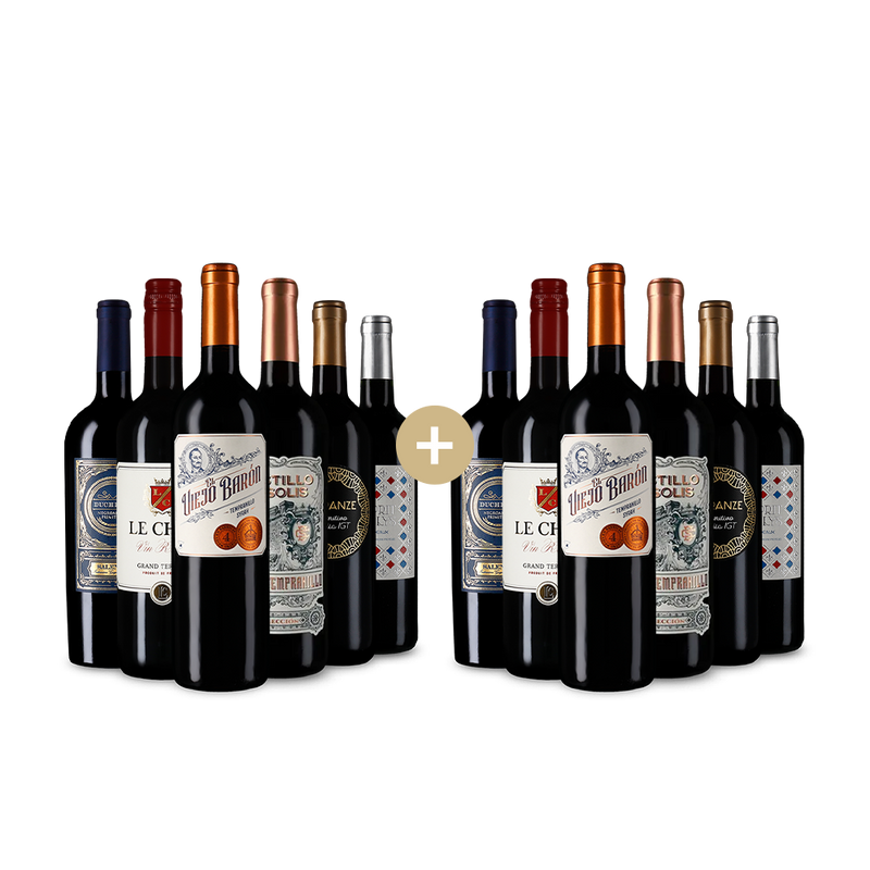 6+6 Flaschen: Südeuropäische Rotwein-Stars – Gold