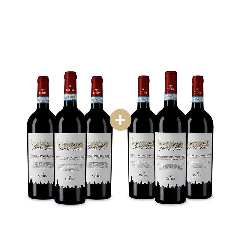 3+3 Flaschen Torre Viva Montepulciano d'Abruzzo 2024 – Gold