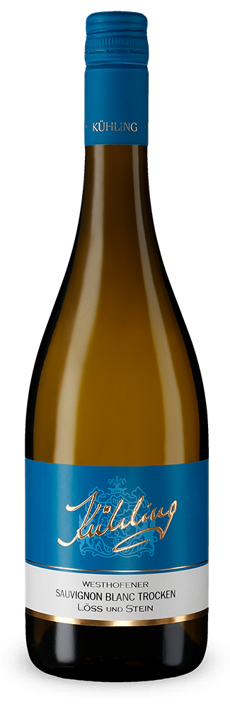 Westhofener Sauvignon Blanc Löss und Stein trocken 2024 – Gold